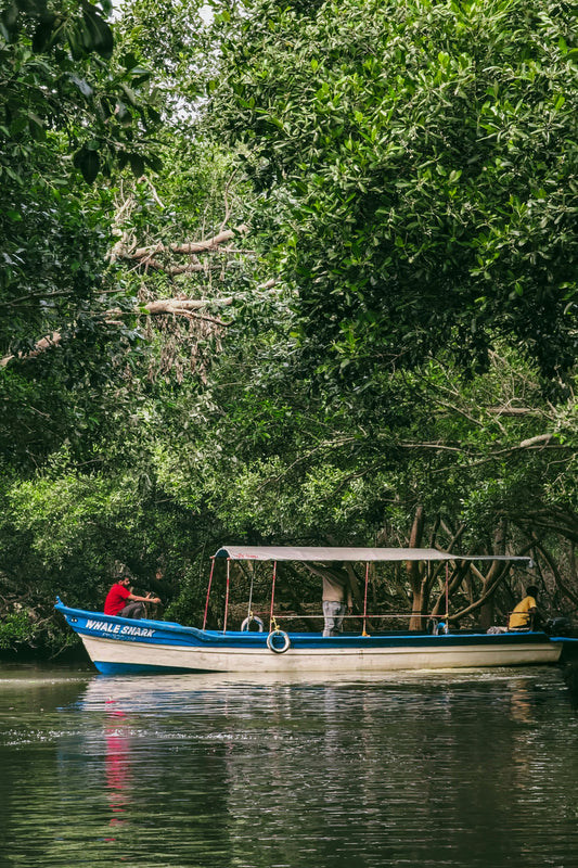AMAZONAS